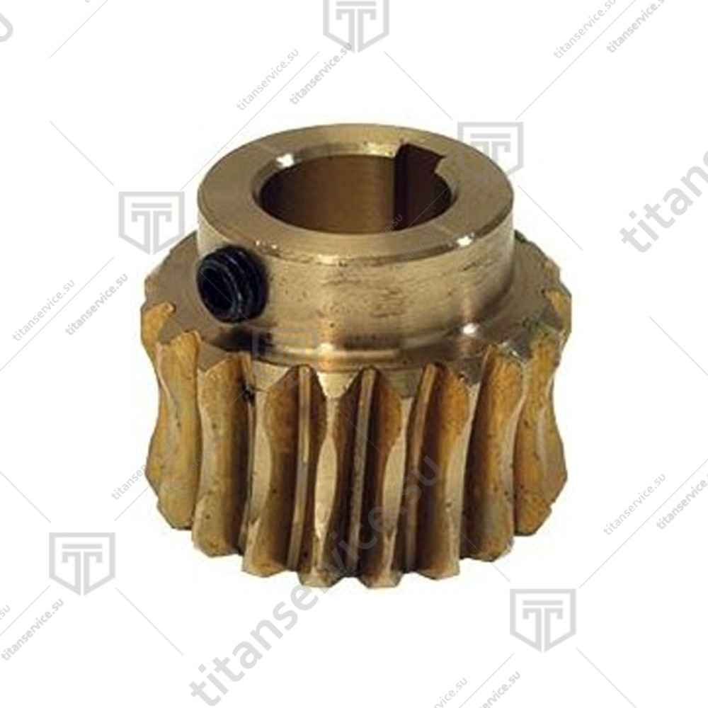 Шестерня бронзовая для мясорубки Fama TS 8 FTSM 101E F2020 - фото №2