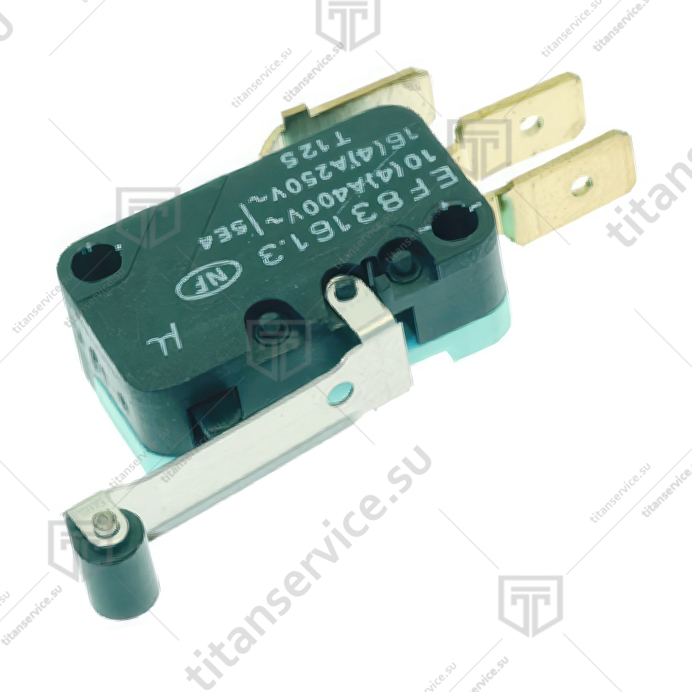 Микровыключатель EF83161.3 250В 16A Rational 3016.0101 - фото №1