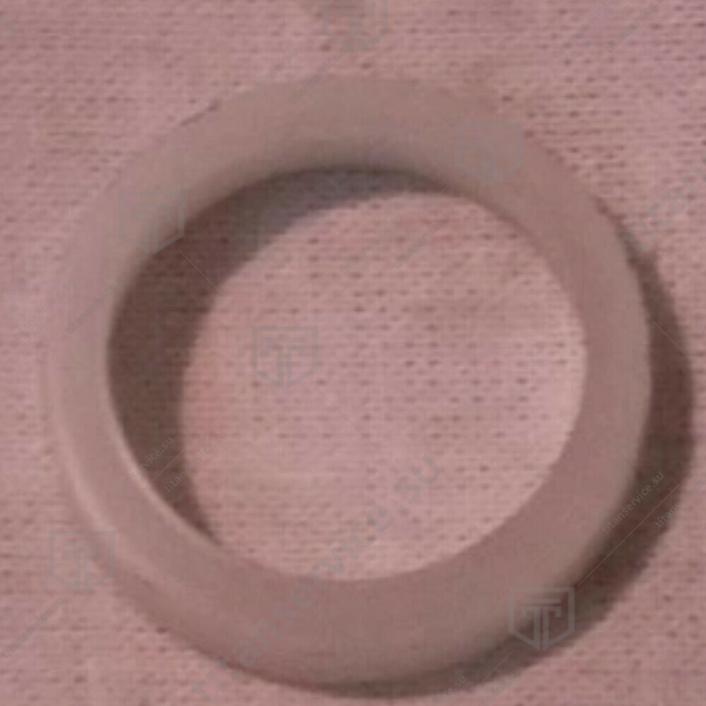 Кольцо уплотнительное для колбасного шприца SIRMAN IS IDR.VERT. LF1211401 - фото №1