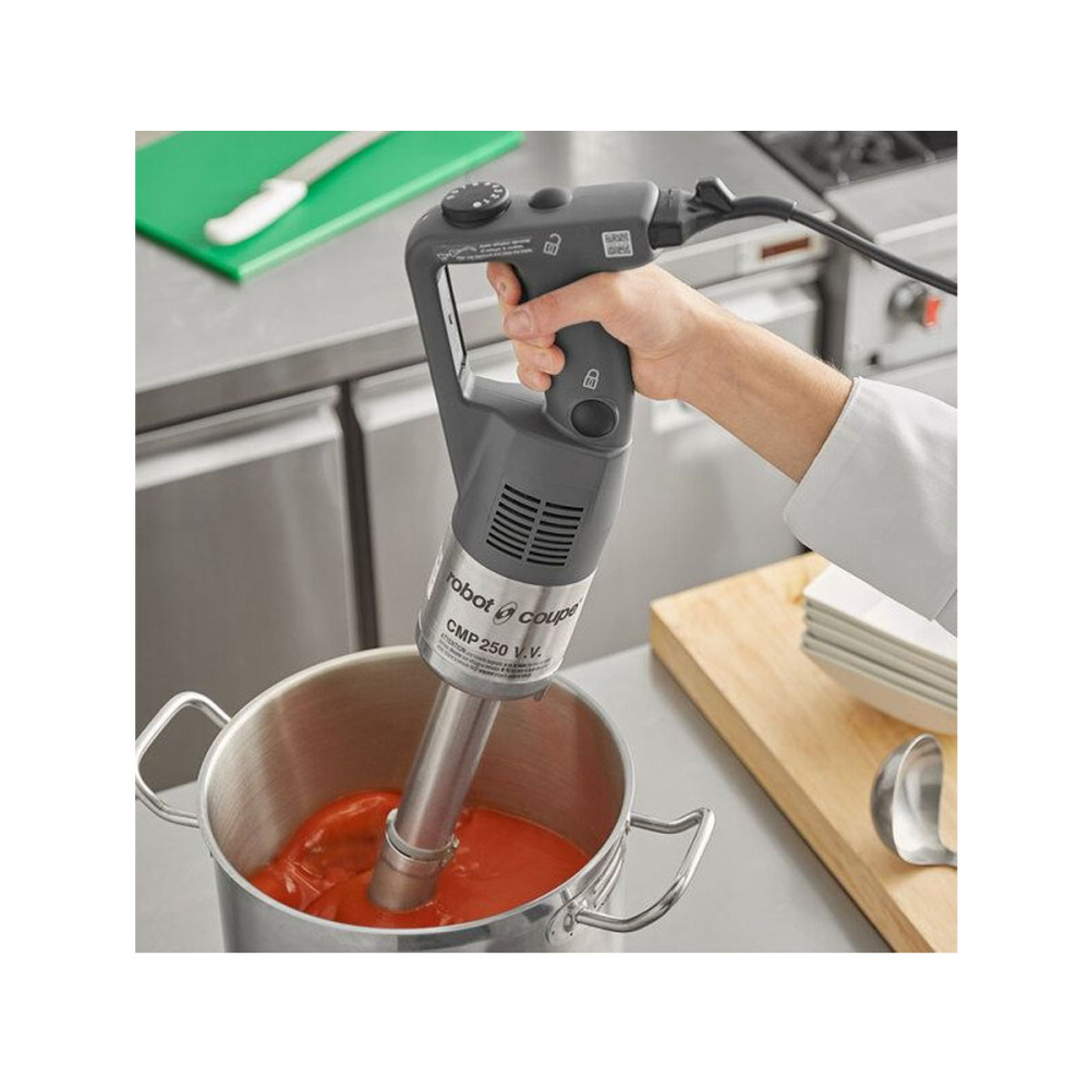Миксер ручной Robot Coupe CMP 250 V.V. - фото №3