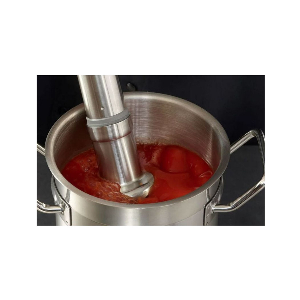 Миксер ручной Robot Coupe CMP 250 V.V. - фото №4
